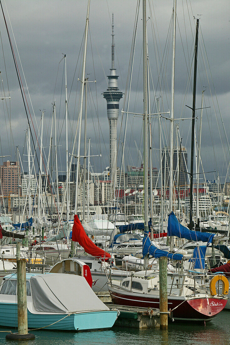 Jachthafen und Fernsehturm, Auckland, North Island, Neuseeland