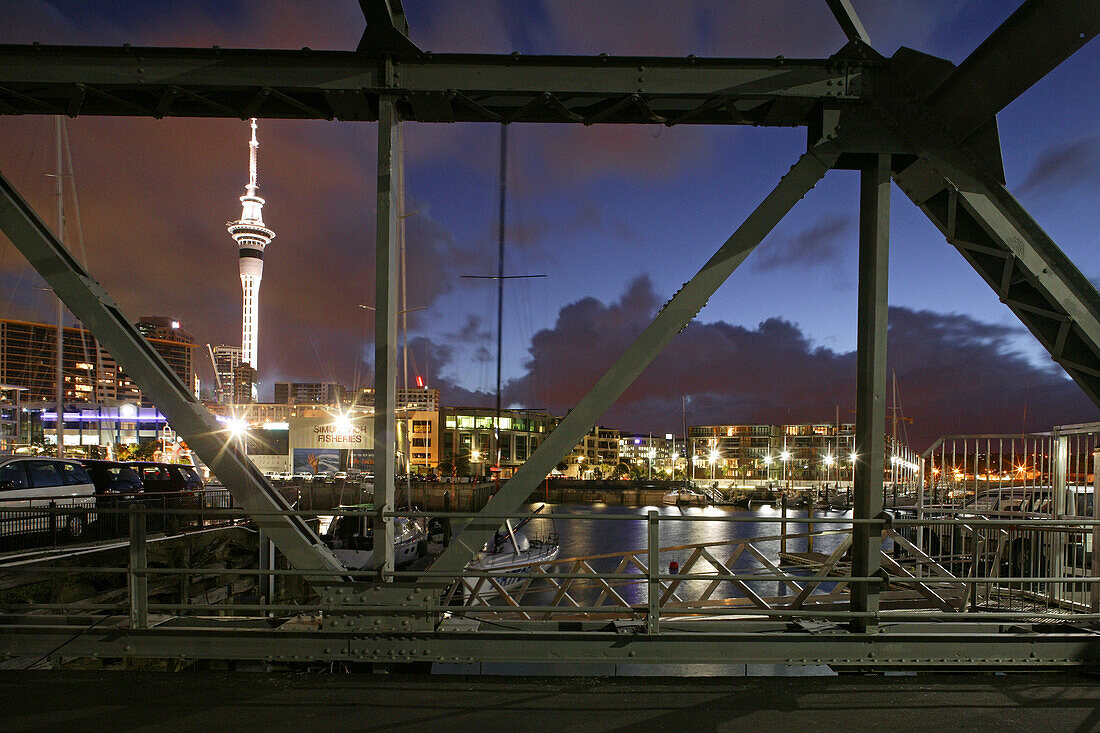 Viaduct Harbour with skyline in the background, skyline, waterfront central Auckland, North Island, New Zealand