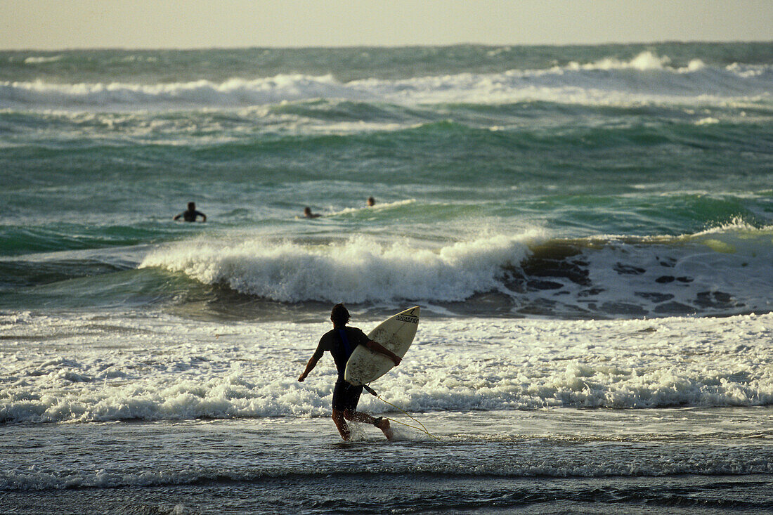 Surfer mit Surfbrett, Westküste in der nähe von Auckland, Nordinsel, Neuseeland