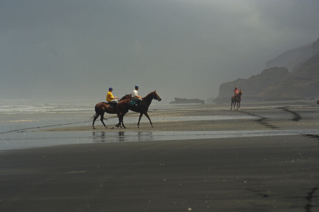 Rennpferde trainieren am Strand, graues Wetter, Strand Karioitahi Beach, südlich von Auckland, Nordinsel, Neuseeland