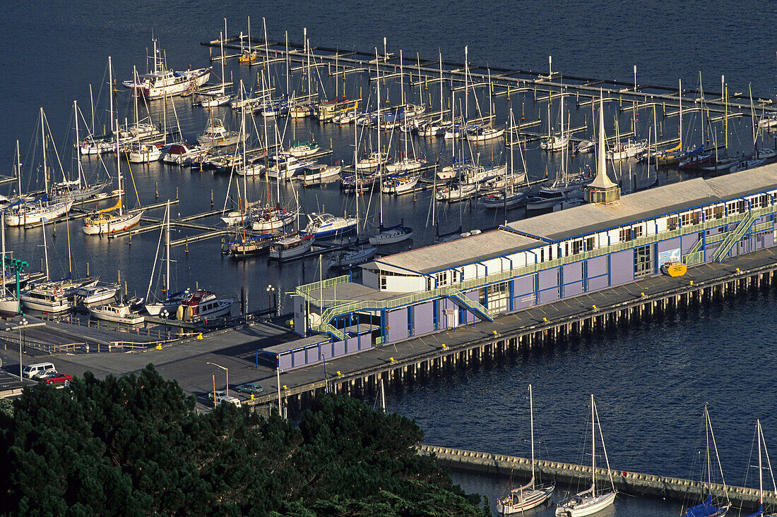 Oriental Parade Marina, Wellington, Yachts berthed in harbour, Jachten, capital, Hauptstadt