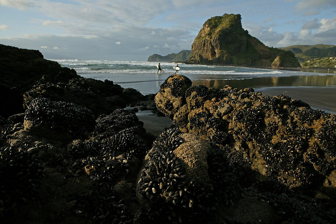 Piha surf beach, near Auckland, Piha Beach and Lion Rock, west coast near Auckland, Neuseeland