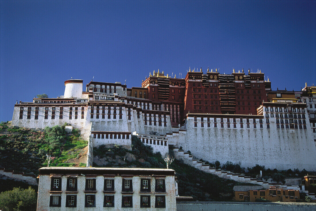 The Potala palace under blue sky, Lhasa, Tibet, Asia