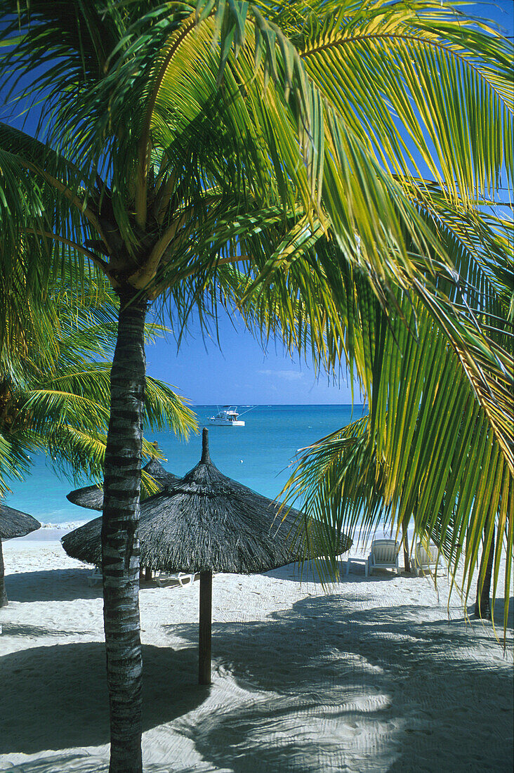 Palm trees and sunshades on the beach of Hotel Royal Palm, Grand Baie, Mauritius, Indian ocean, Africa