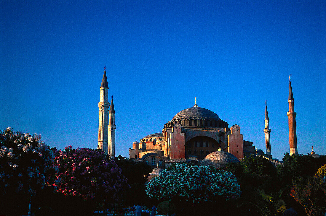 The former mosque Hagia Sophia under blue sky, Istanbul, Turkey, Europe