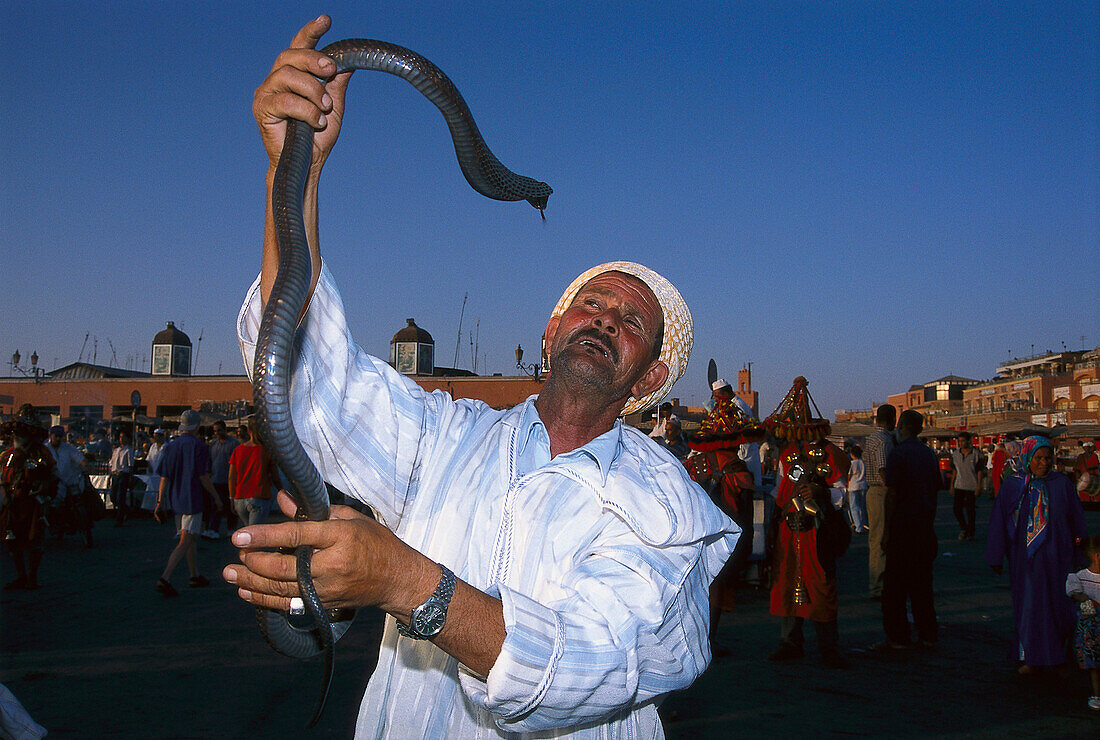 Snake charmer, old man holding snake in his hand, Djemaa el-Fna, Marrakesh, Morocco, Africa