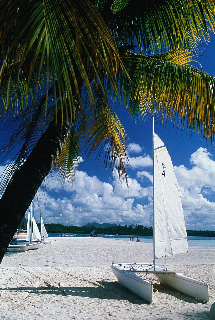 Strandkatamarane und Palmen, auf der Ile aux Cerf Mauritius