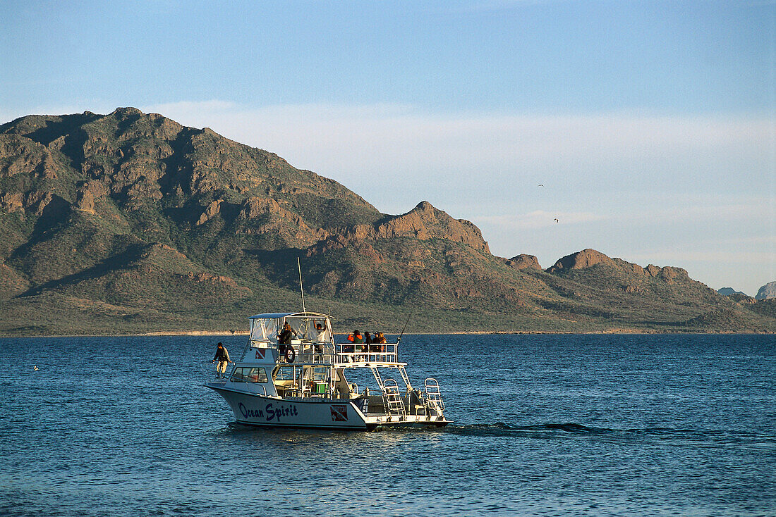 Sportfisher near San Carlos, Guaymas, Sonora Mexico