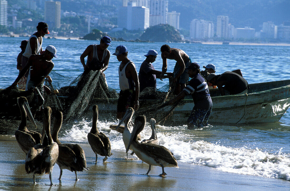 Fischer und Pelikane, Acapulco, Guerrero, Mittelamerika Mexico