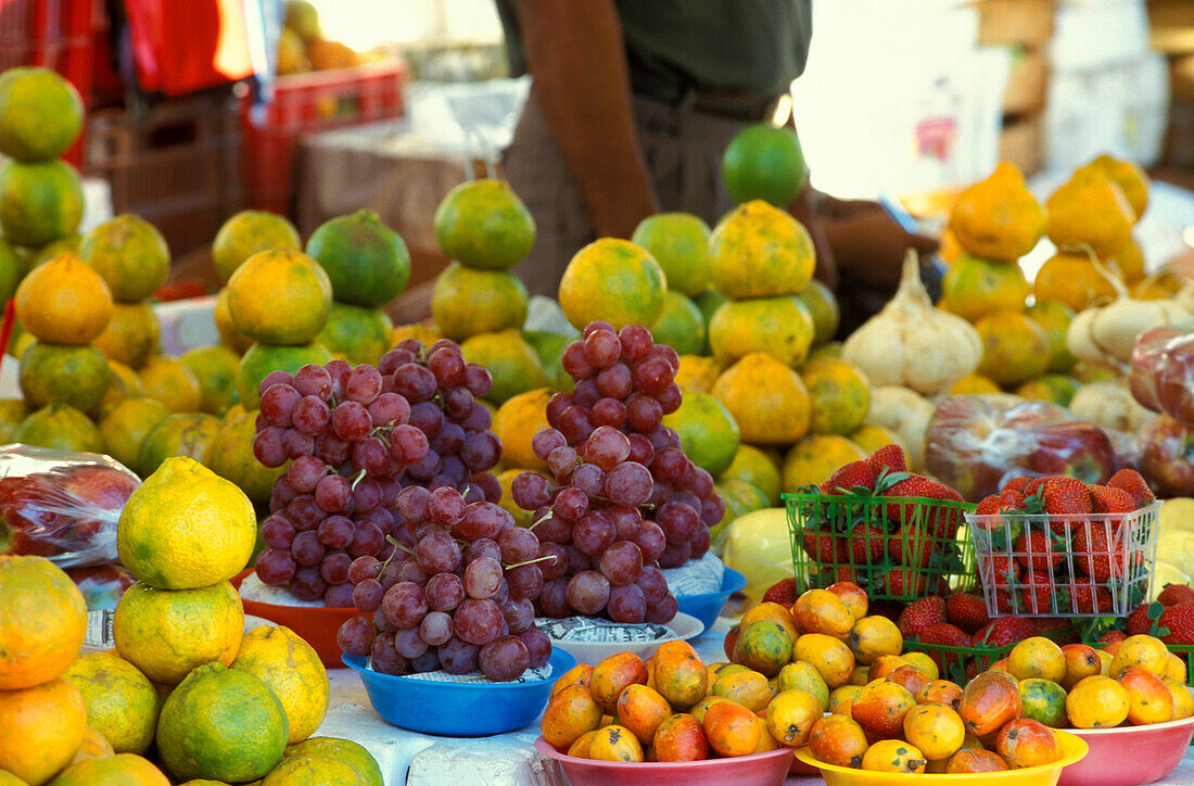 Fruit stand on the market, Campeche. Peninsula Yucatan, Mexico, America