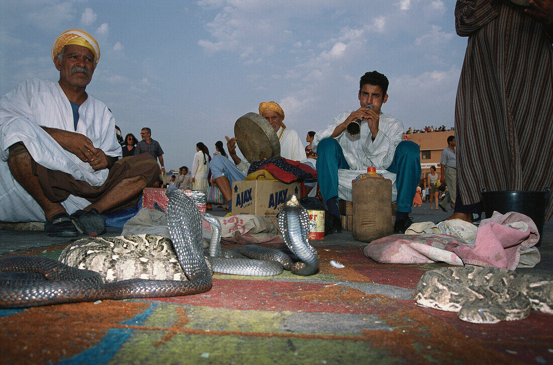 Snake charmers on the market in the evening, Djemaa el Fna, Marrakesh, Morocco, Africa
