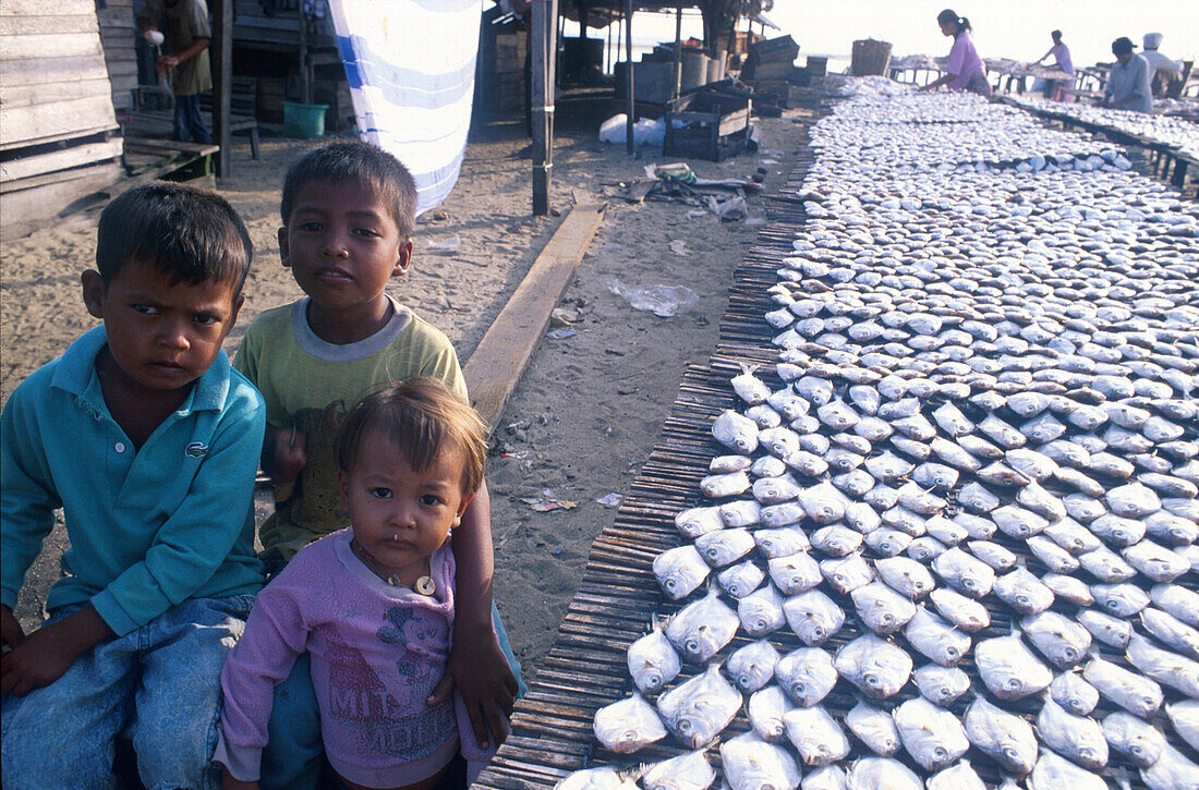 Fische werden getrocknet, Kuala Besut, Ostkueste, Terenganu Malaysia