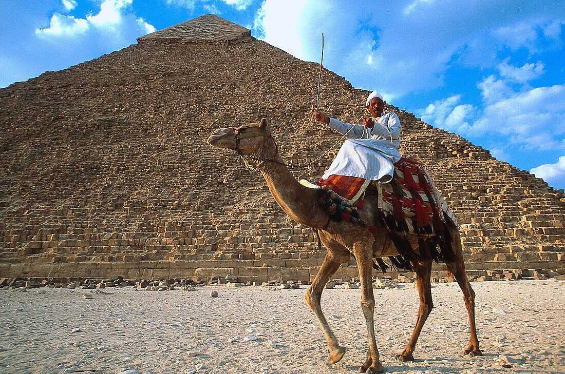 Beduin auf einem Kamel, Dromedar, vor die Pyramiden von Gizeh, Ägypten