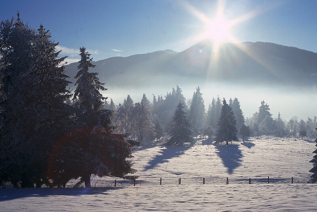 Winterlandschaft, Natur