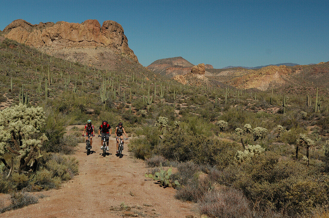 Mountainbike-Apache Trail, Apache Trail Arizona-USA