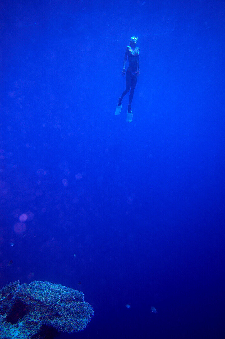 Freediving, a woman diving in the ocean, Soma Bay, Hurghada, Egypt