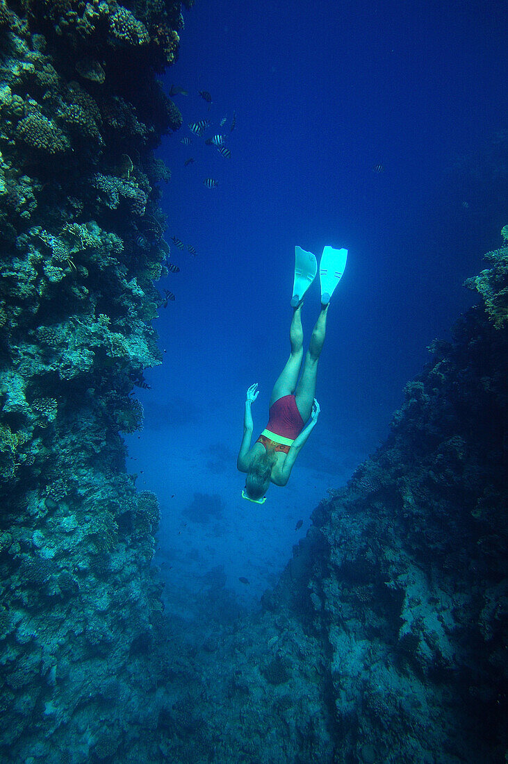 Freitauchen, eine Frau taucht im Meer, Hurghada, Ägypten