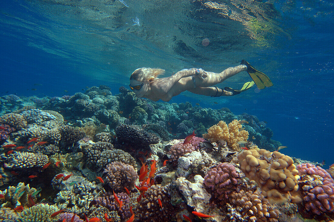 A woman freediving at Soma Bay, Hurghada, Egypt