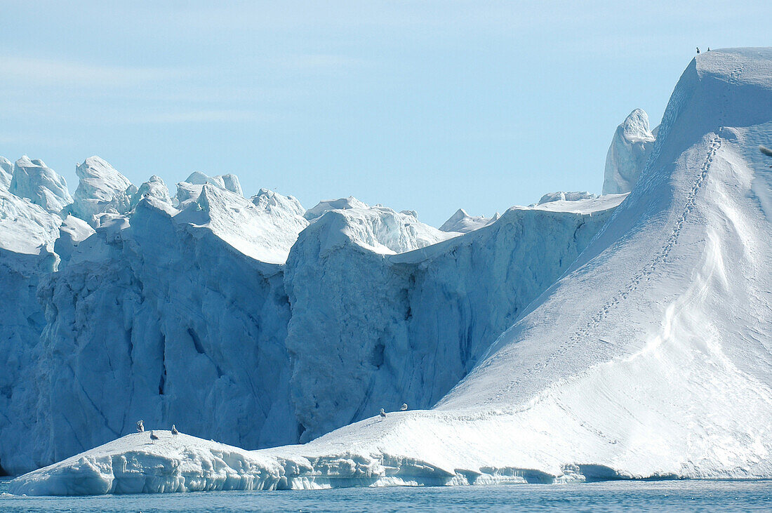 Seagulls sitting on an iceberg, Ilulissat, Greenland