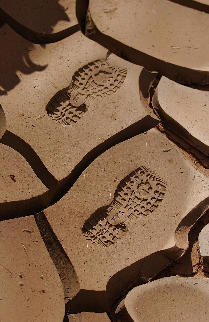 Footsteps, Lake Powell, Utah-Arizona, USA