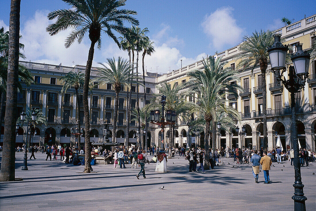 Menschen und Palmen auf der Plaza Reial, Barcelona, Spanien, Europa