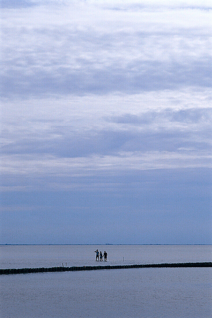 Wattwanderer unter Wolkenhimmel, Nordstrand, Nordfriesland, Schleswig Holstein, Deutschland, Europa