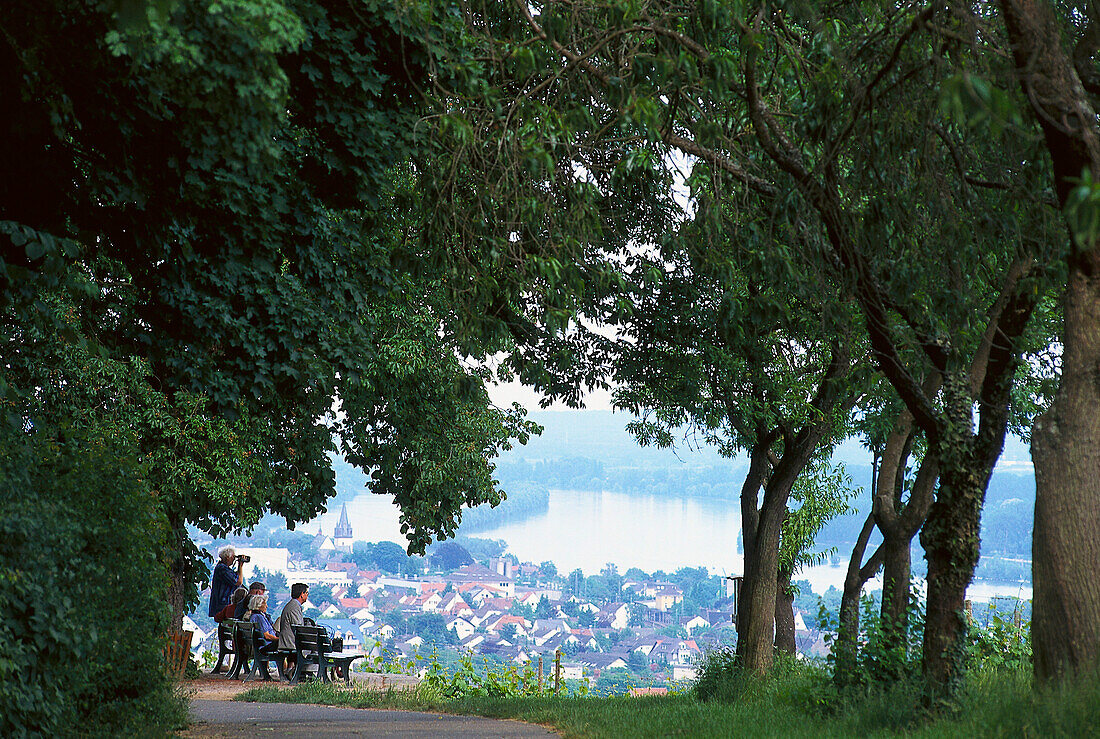 People on Johannisberg with view at Oestrich-Winkel, Rheingau, Hesse, Germany, Europe