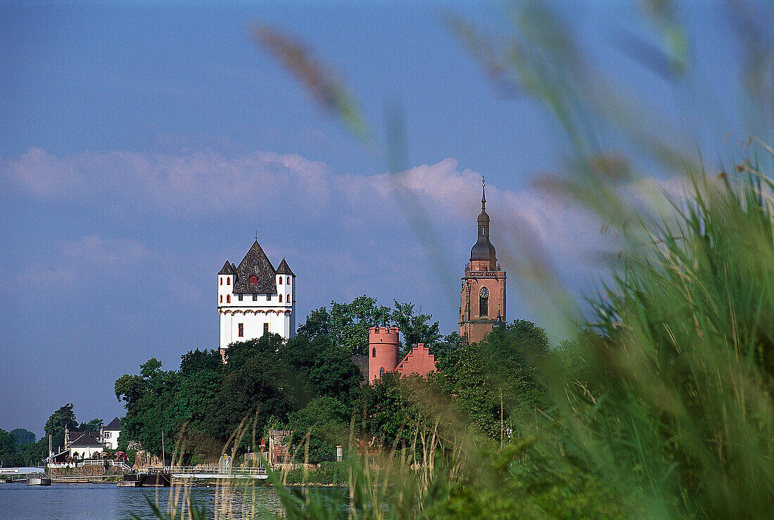 Burg Crass und kurfürstliche Burg Eltville am Rhein, Eltville, Rheingau, Hessen, Deutschland, Europa