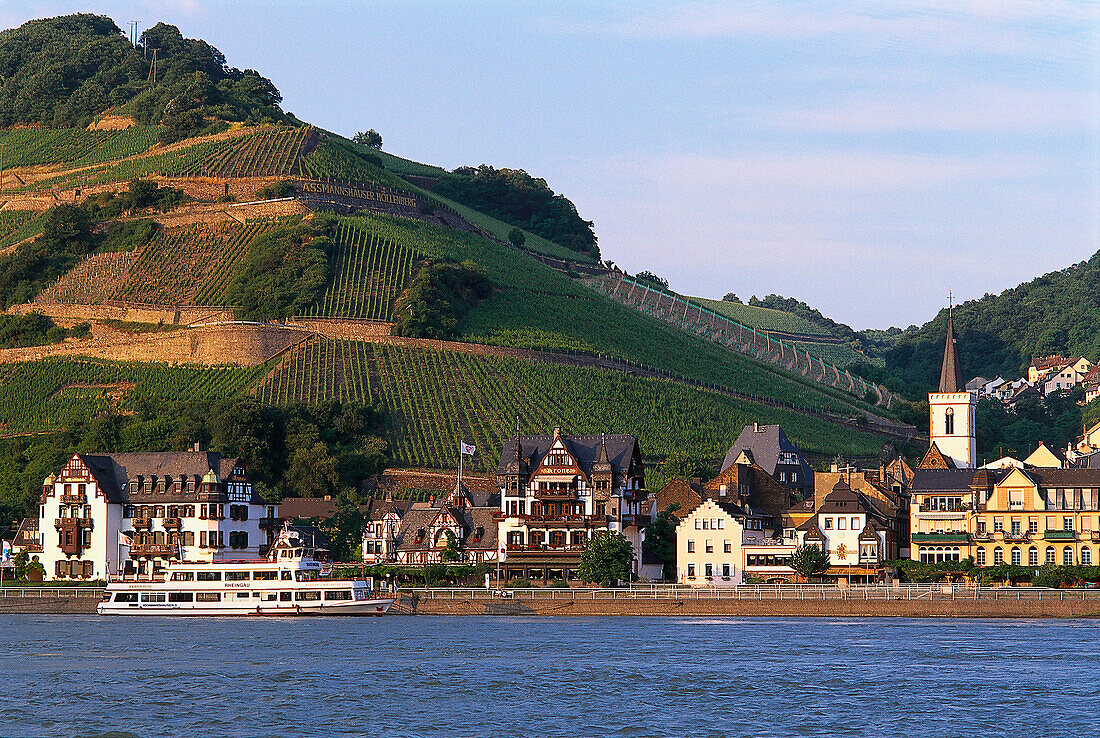 View of Assmannshausen, From opposite shore Rheingau, Hesse, Germany
