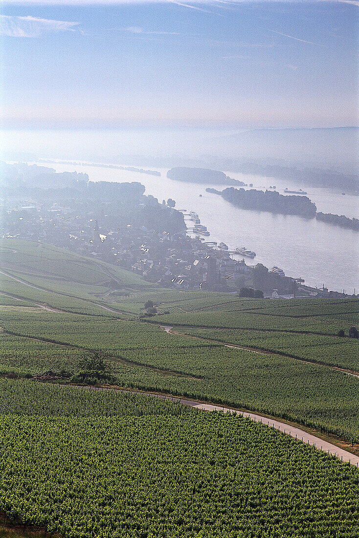 Blick auf die Stadt Rüdesheim am Rhein, Rheingau, Hessen, Deutschland, Europa