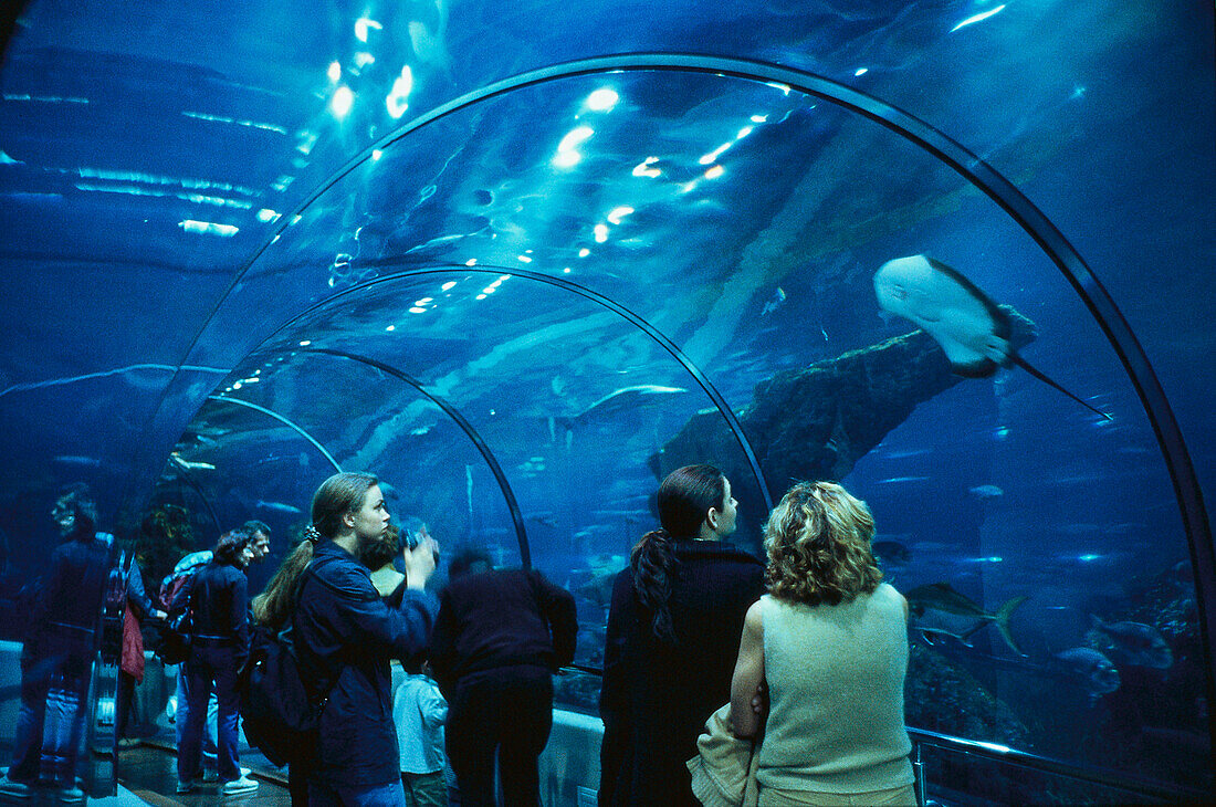 People watching fishes at the aquarium, Barcelona, Spain, Europe