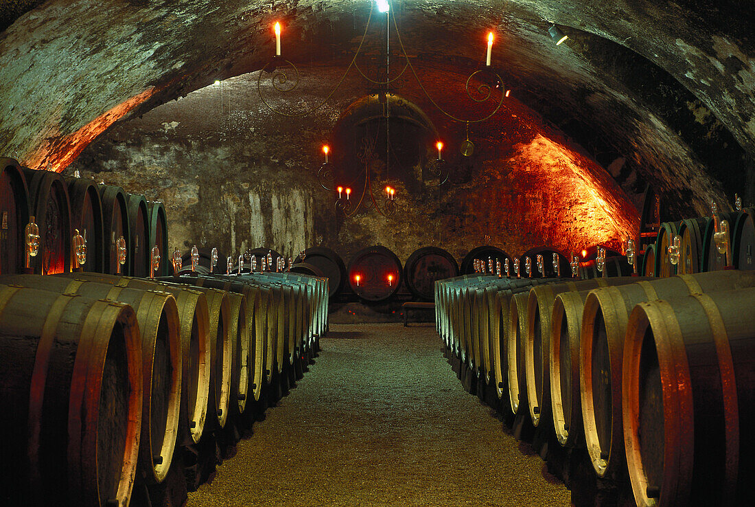 Fässer im Weinkeller von Schloss Johannisberg, Geisenheim, Rheingau, Hessen, Deutschland, Europa