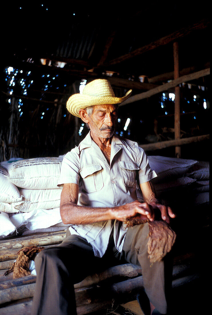 Tabakbauer im Vinales Tal, Provinz Pinar del Rio Cuba, Caribbean