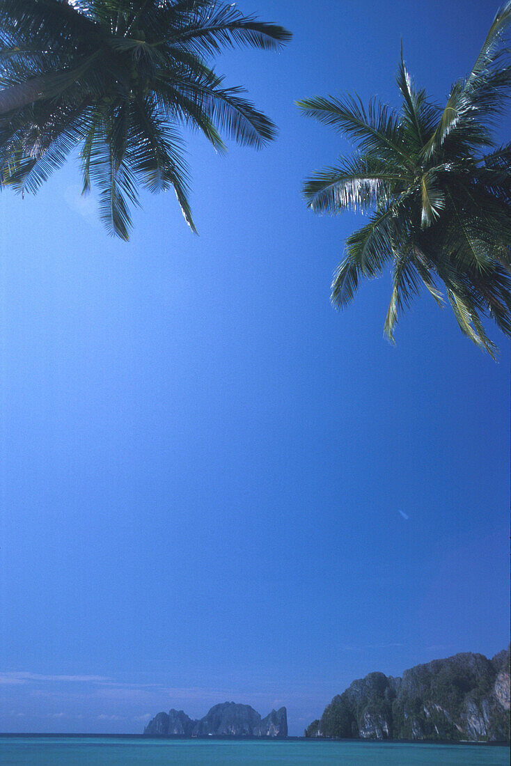 Blick auf Meer, Felsen und Palmen unter blauem Himmel, Ko Phi Phi Le, Thailand, Pazifik, Asien