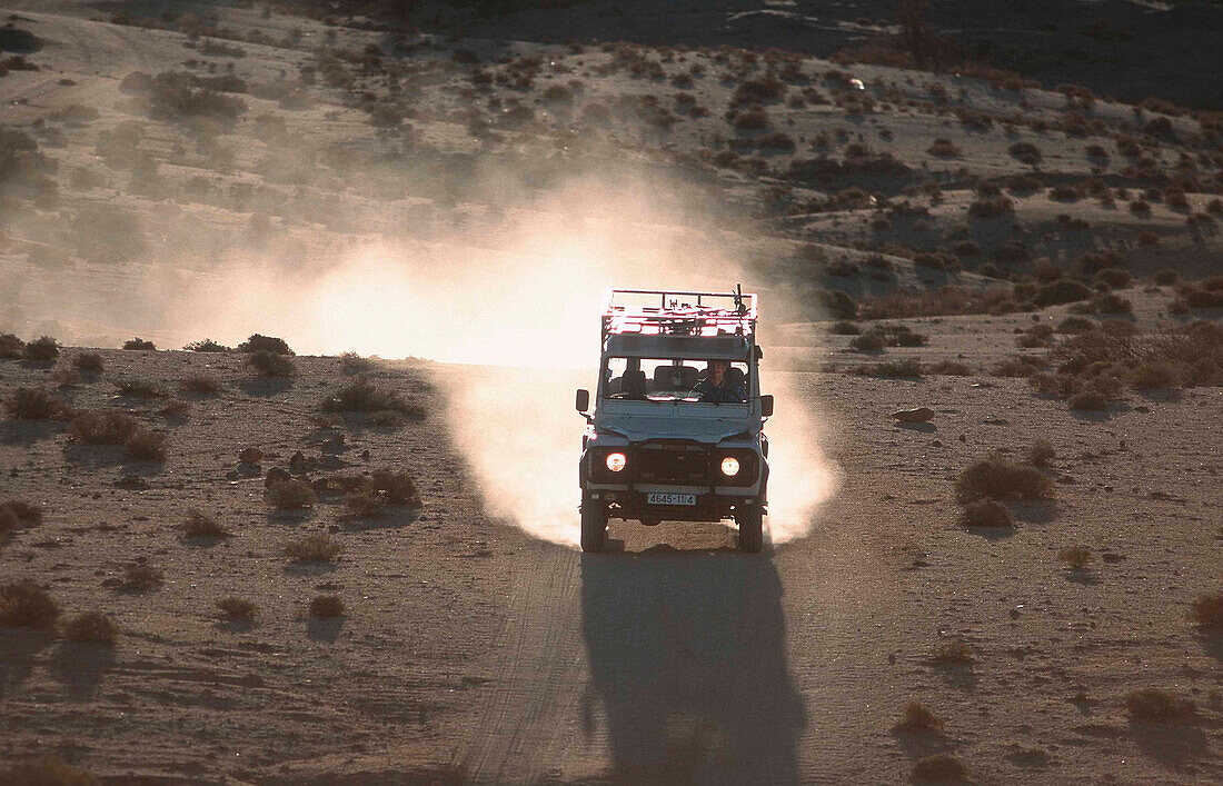 Geländewagen fährt auf Wüstenstrasse, Tafraoute, Marokko, Afrika