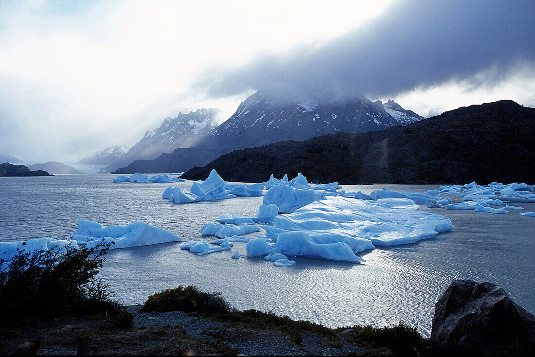 Eisschollen auf einem See, Lago Grey, Torres del Paine, Patagonien, Chile, Südamerika, Amerika