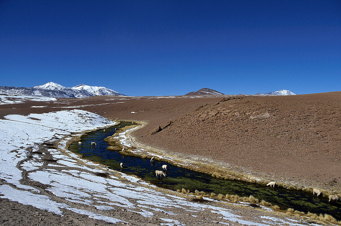 Fluss bei Geiser del Tatio, Del Tatio, Chile
