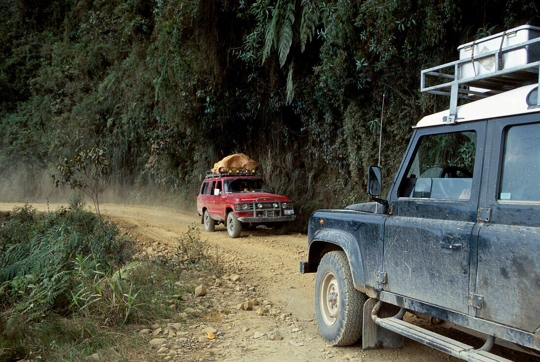 Strasse in die Yungas, La Paz Bolivien