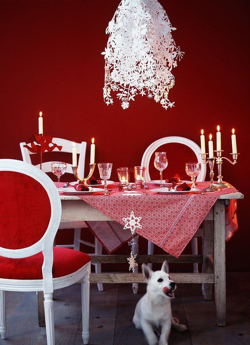 A table laid for Christmas dinner with designer lamps and a dog in the foreground