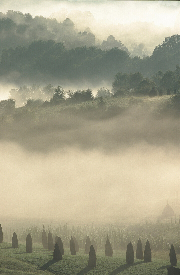 Foggy Scenery, Maramures Romania