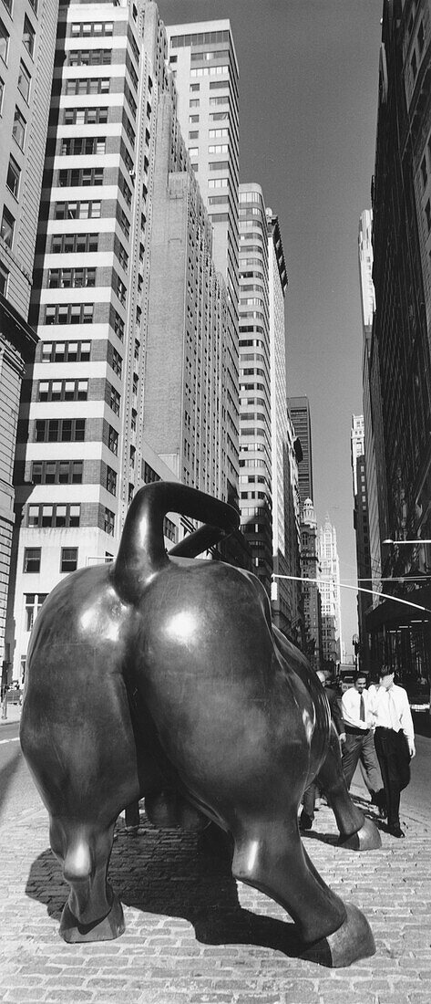 Bull downtown, Bull, Downtown, Manhattan, New York, USA