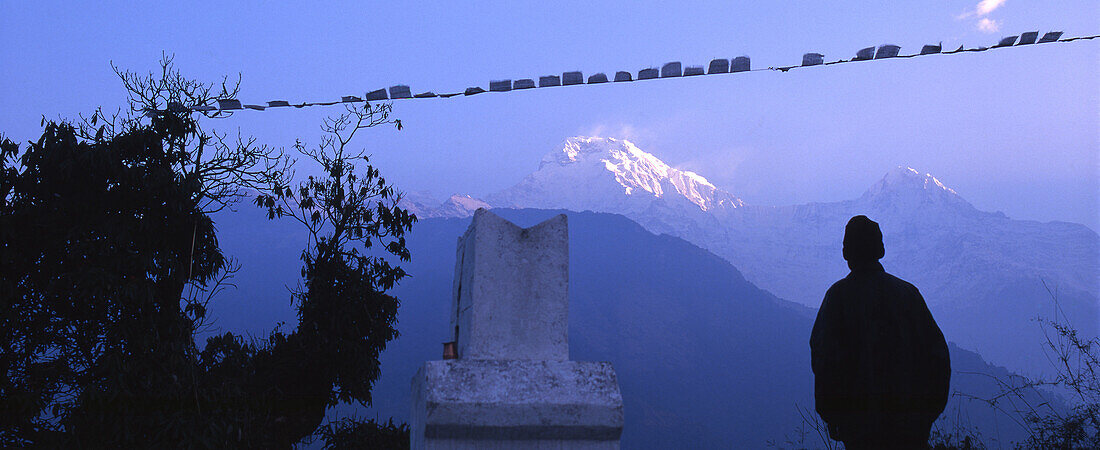 A person and prayer flags in front of the Himalaya in the evening, Annapurna, Nepal, Asia
