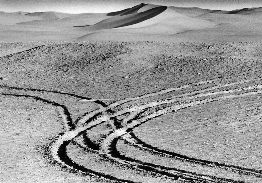 Jeep traces, Grand Erg Occidental Sahara, Algeria