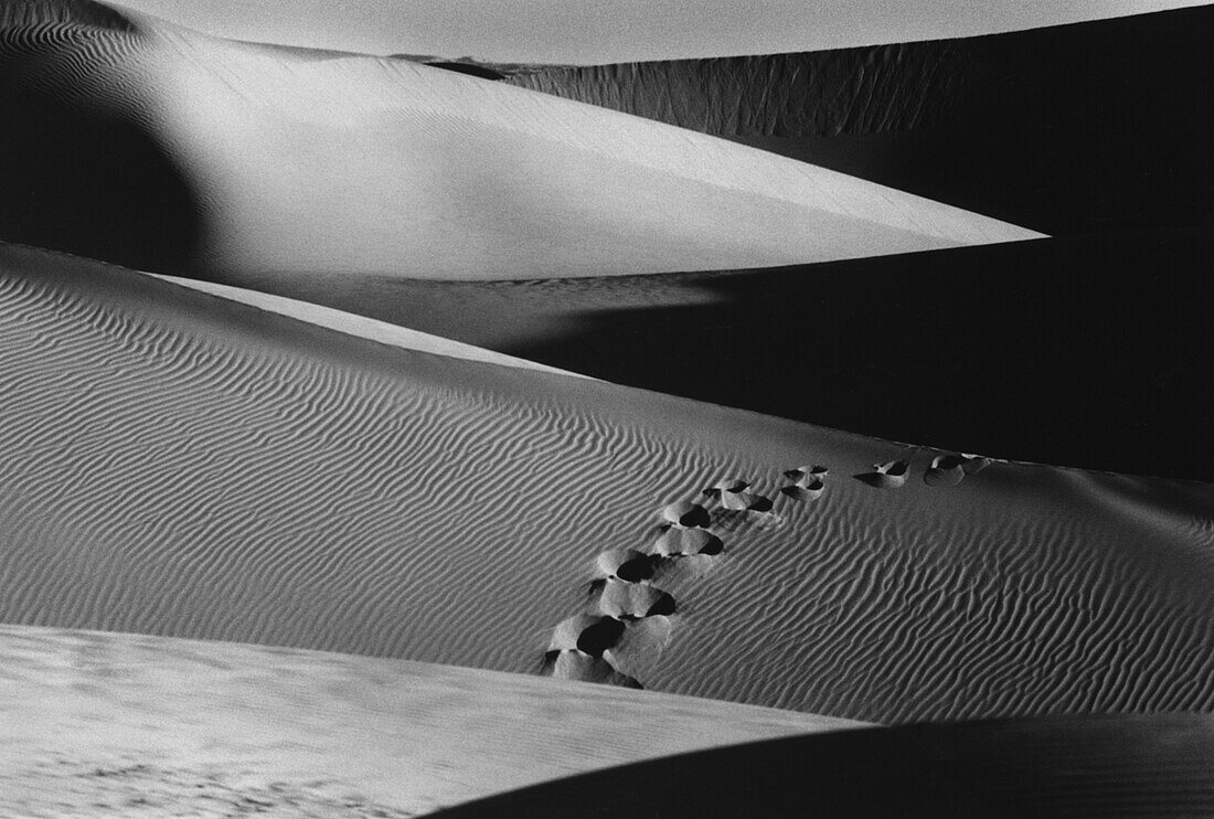 Fußspuren im Sand, Grand Erg Occidental Sahara, Algerien
