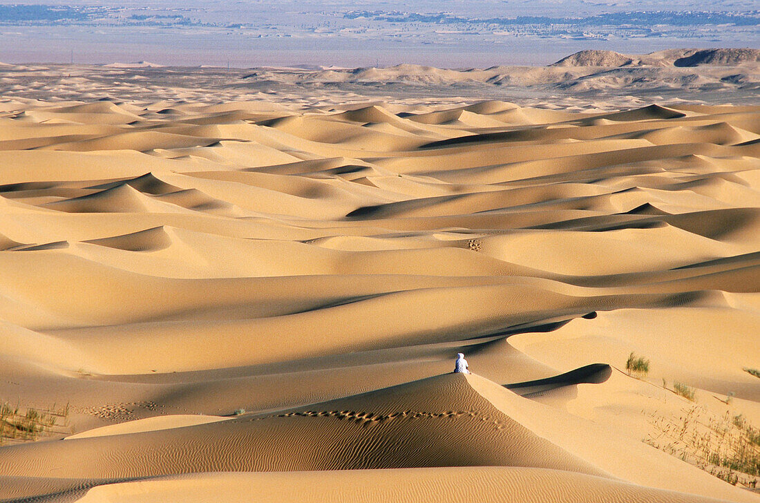 Aerial View, Grand Erg Occidental, Algerien, algerische Sahara Grand Erg Occidental, Duenenlandschaftencatalogue nature, Afrika, Wueste, Sand, Duenen, LichtstimmungEnglish: Grand Erg Occidental, desert, dunes, Algerian Sahara, Algeria