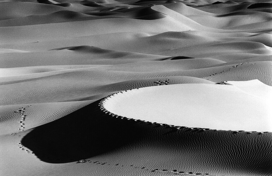 Desert curve, Grand Erg Occidental Sahara, Algeria