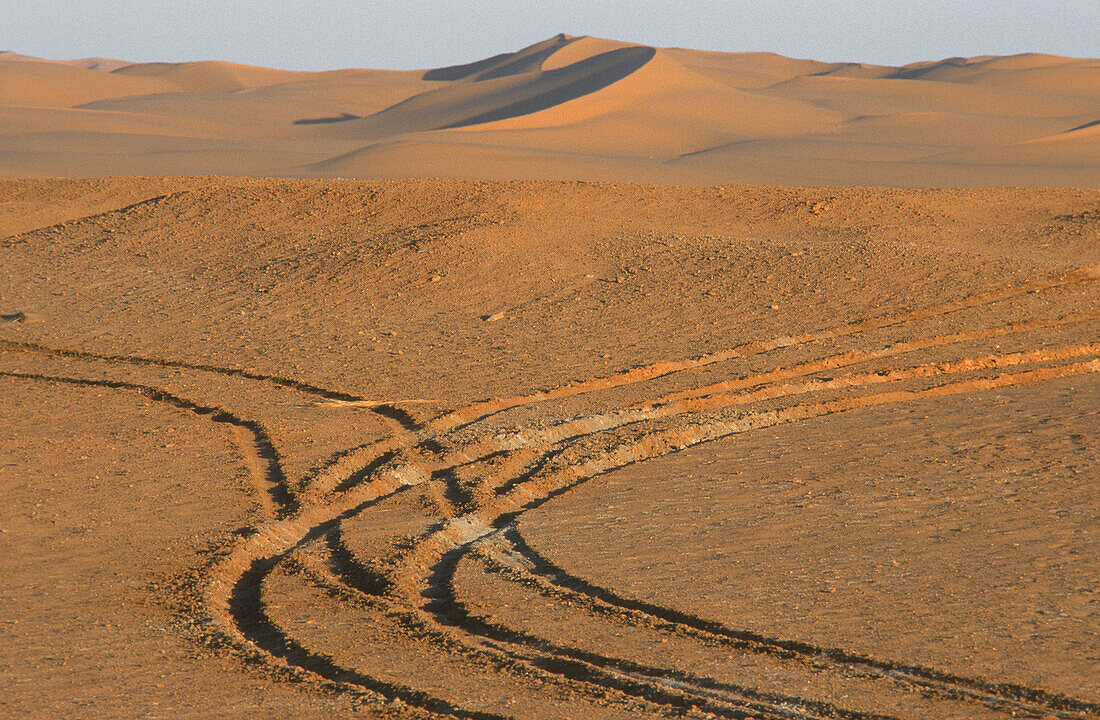 Desert trail, Sahara, Algerien, nahe Timimoun, Algerische Sahara, Afrika, Landschaft, Sandduenen, Sandduene, Sand, Wueste, Wuestenlandschaft, Spur, Spuren, Weg, verlassen, Reifenspuren, Buchcover