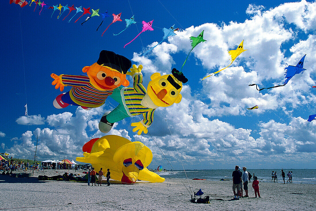 7 International Kite festival, Norderney, East Frisian Islands, East Frisia, Lower Saxony, Germany