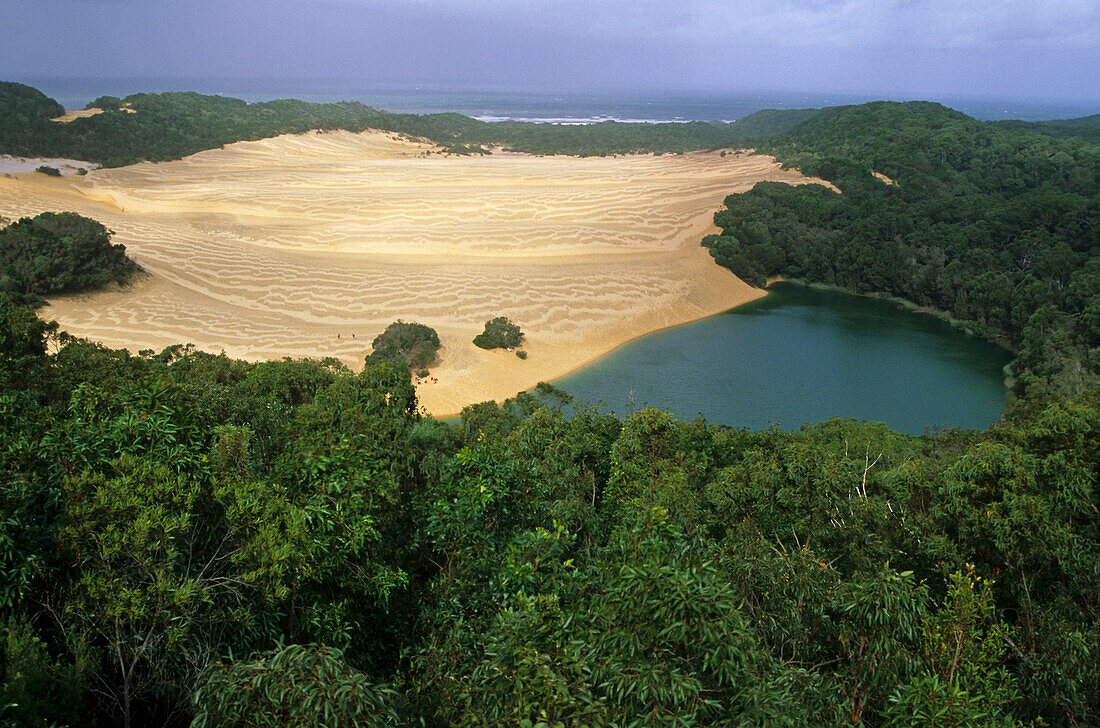 Lake Wabby freshwater lake and white sanddunes, UNESCO World Nature Site World Heritage, Fraser Island, Queensland, Australia