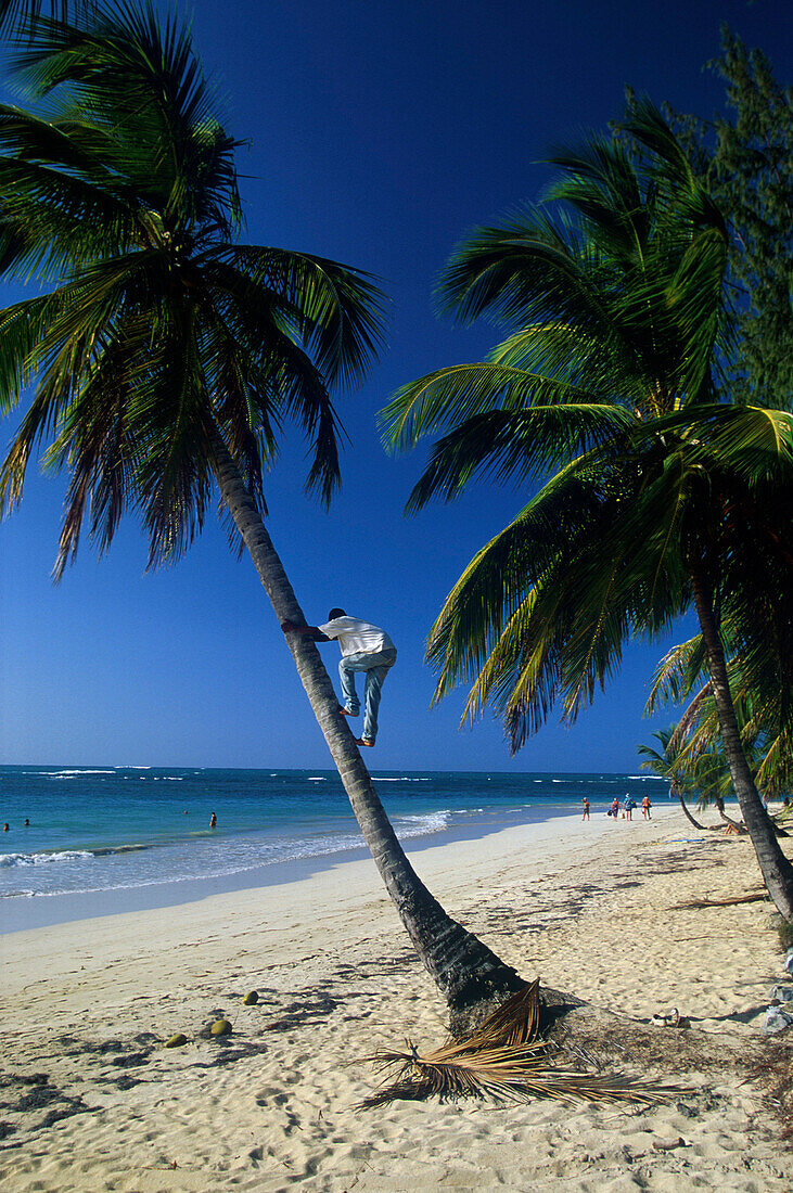 Palmenstrand Las Terrenas, Dominikanische Republik Karibik